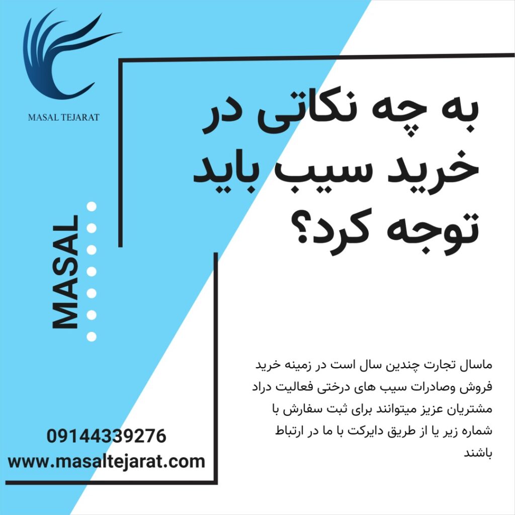 به چه نکاتی در خرید سسی برای صادرات باید توجه کرد